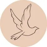 Studio Dove discount code